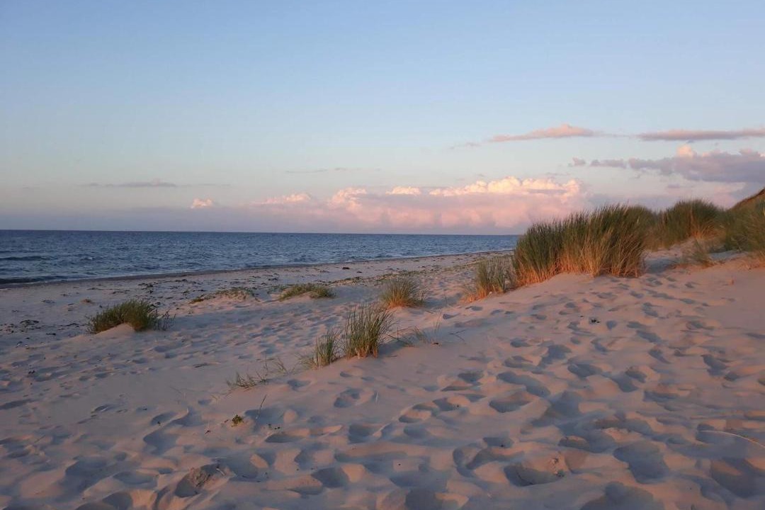 Photo of Others in Læsø