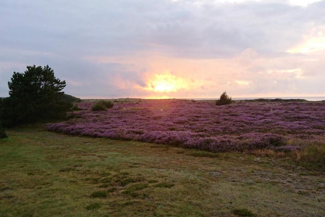 Photo of Others in Læsø