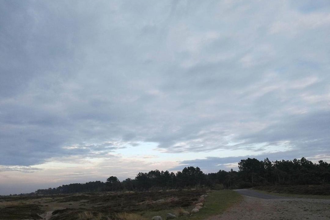 Photo of Others in Læsø