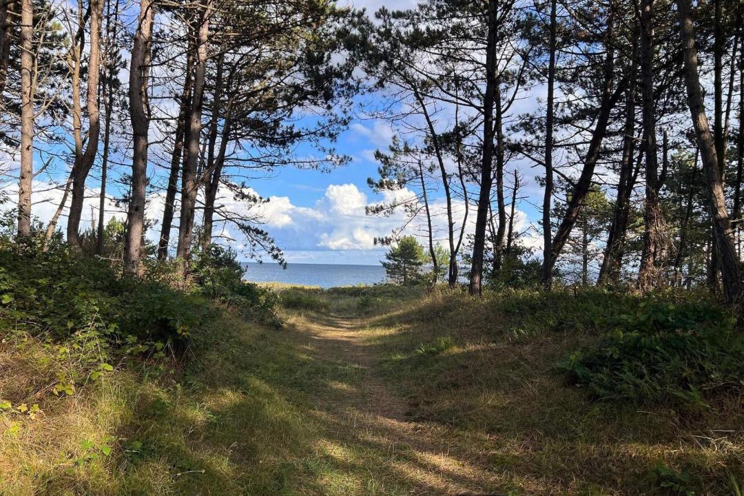 Photo of Others in Vibæk Strand