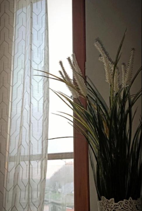 Photo of Others in Meaux