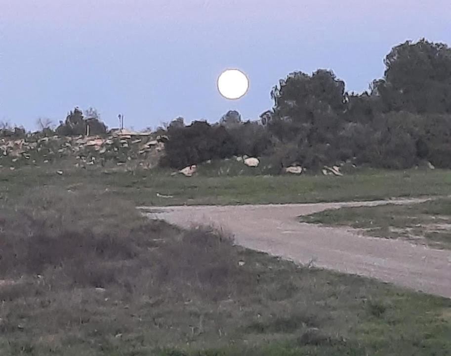 Photo of Others in Els Omellons