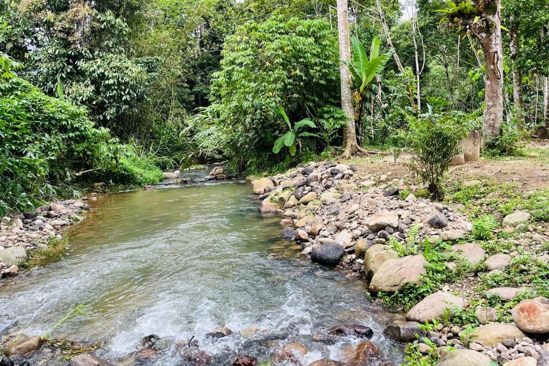 Photo of Others in Janda Baik