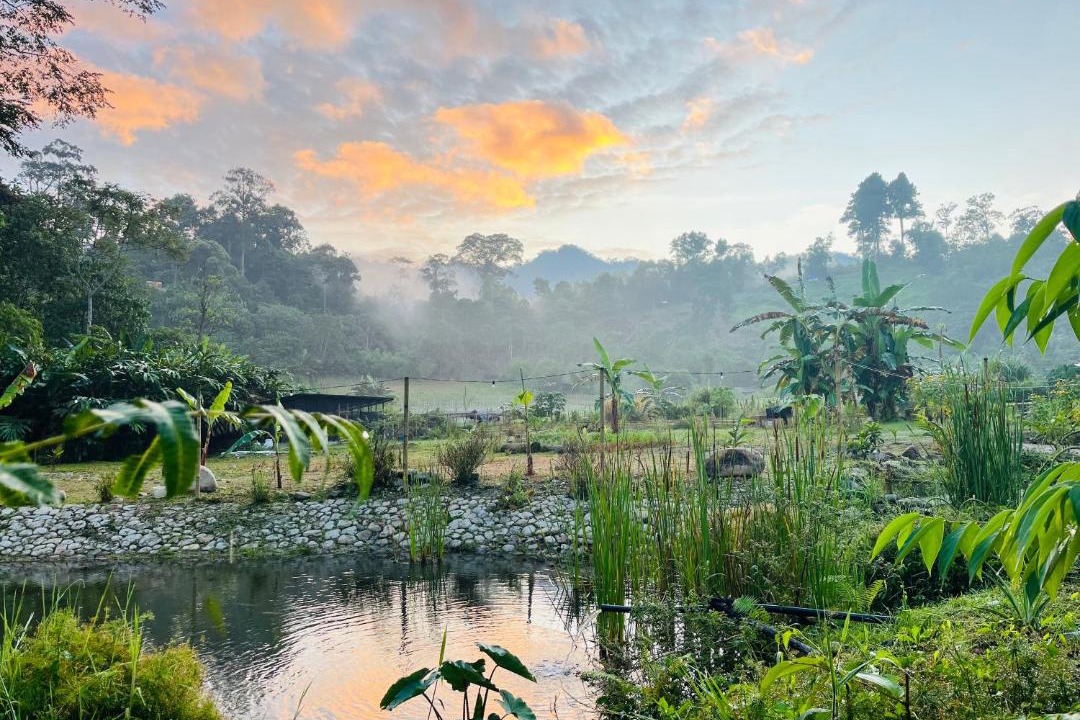 Photo of Others in Janda Baik