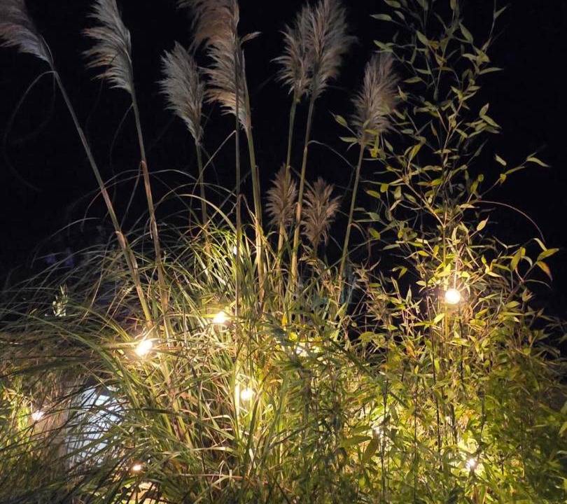 Photo of Others in Darlington