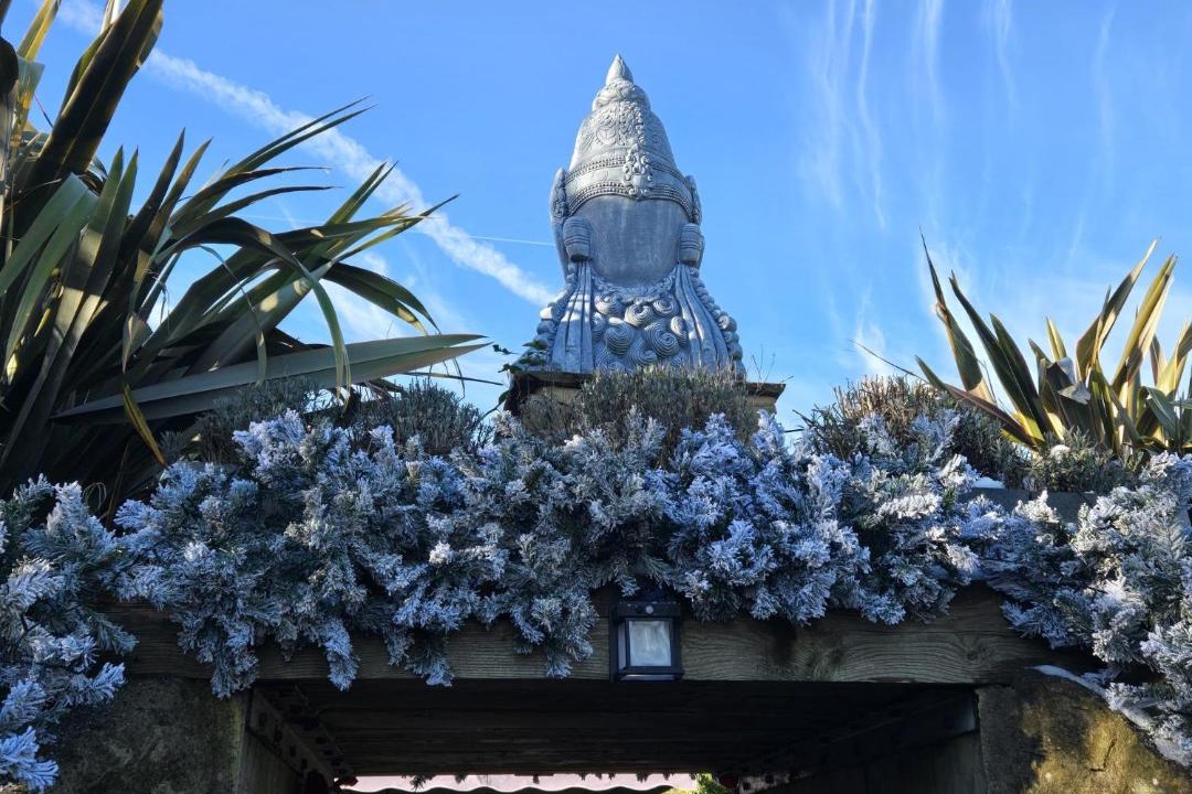 Photo of Others in Darlington