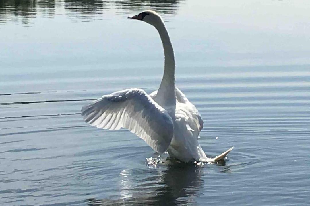 Photo of Others in Fairford