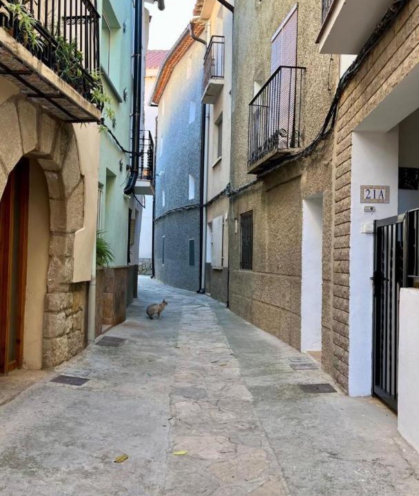 Photo of Others in Puebla de Arenoso