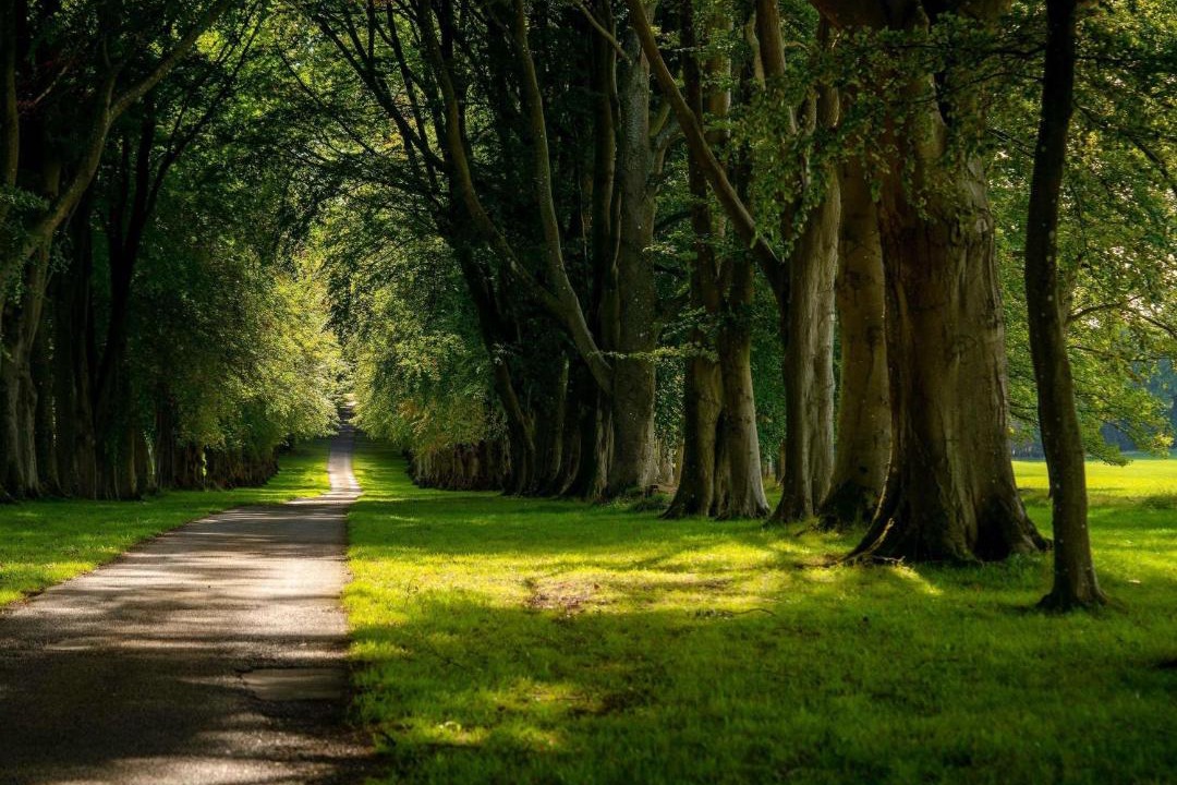 Photo of Others in Colerne