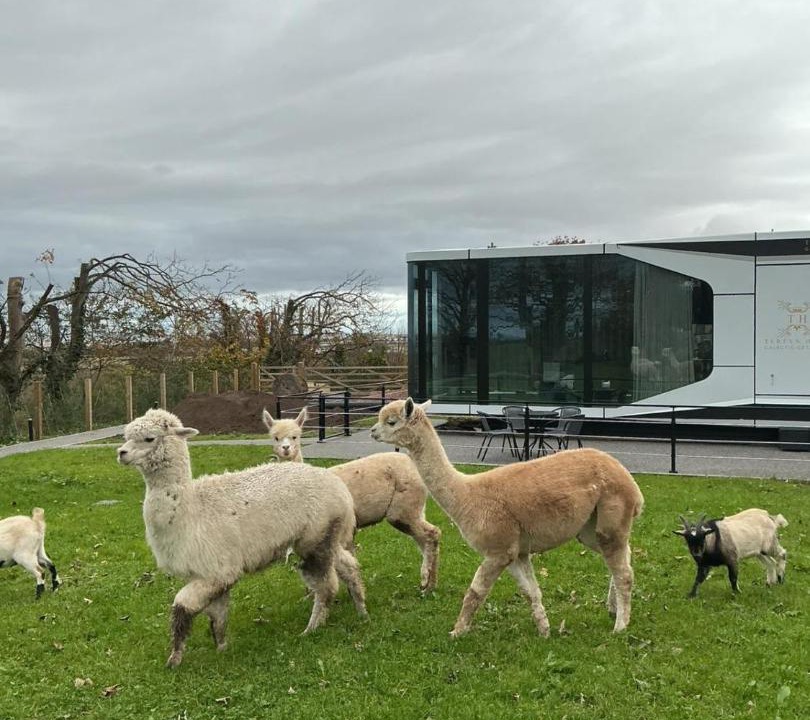 Photo of Others in Gronant