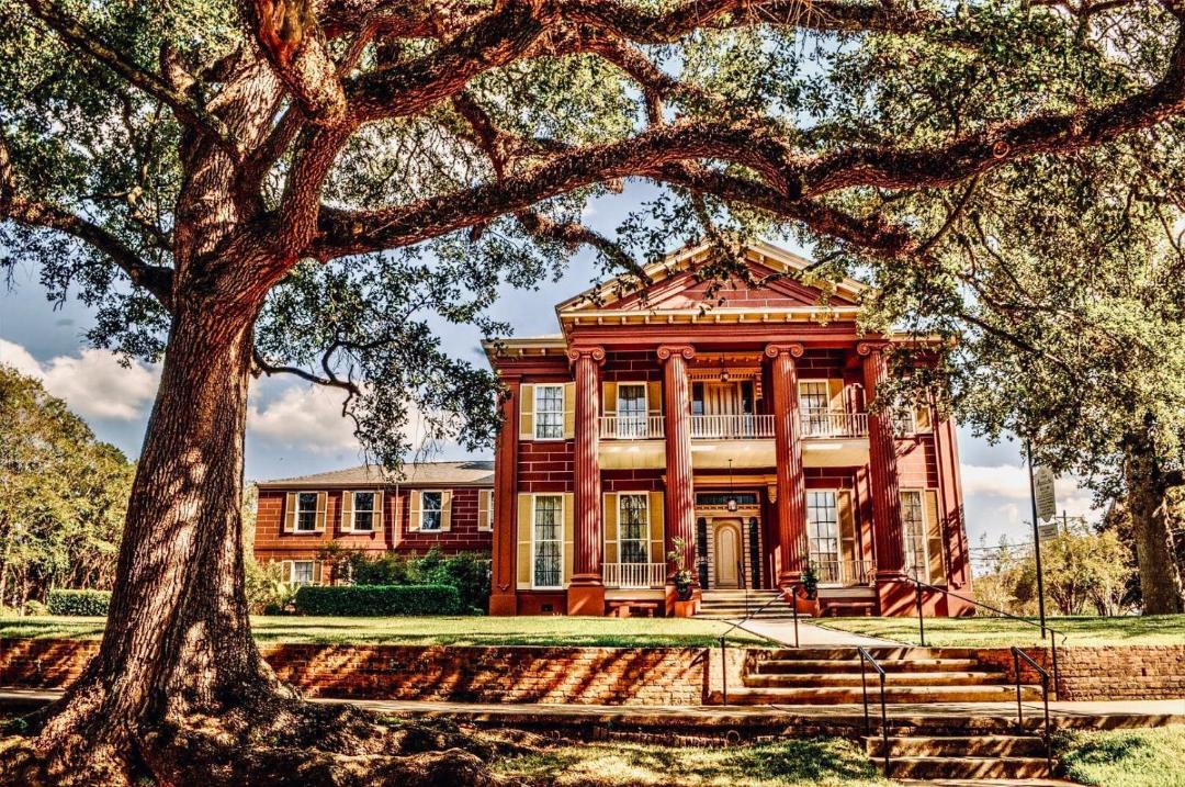 Photo of Others in Natchez