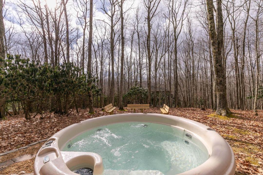 Photo of Others in Beech Mountain