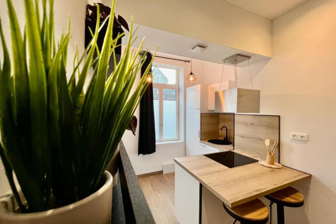 Photo of Others in Saint-Omer