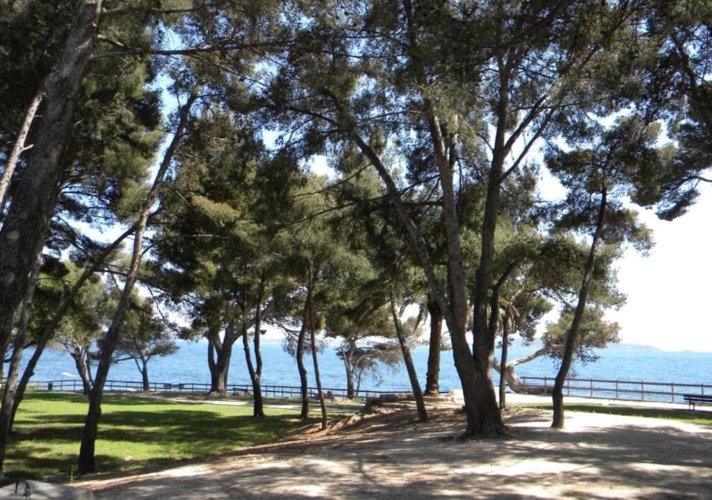 Photo of Others in Carqueiranne