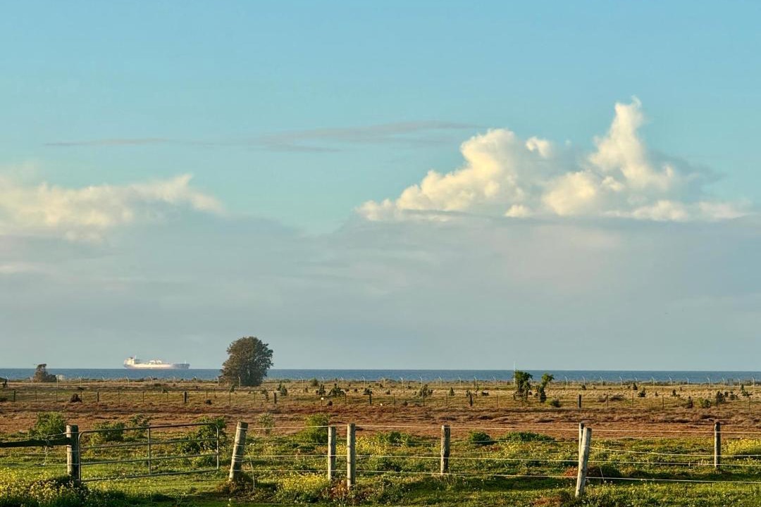 Photo of Others in Werribee South