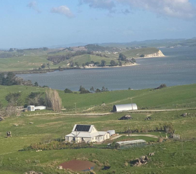 Photo of Others in Wayby