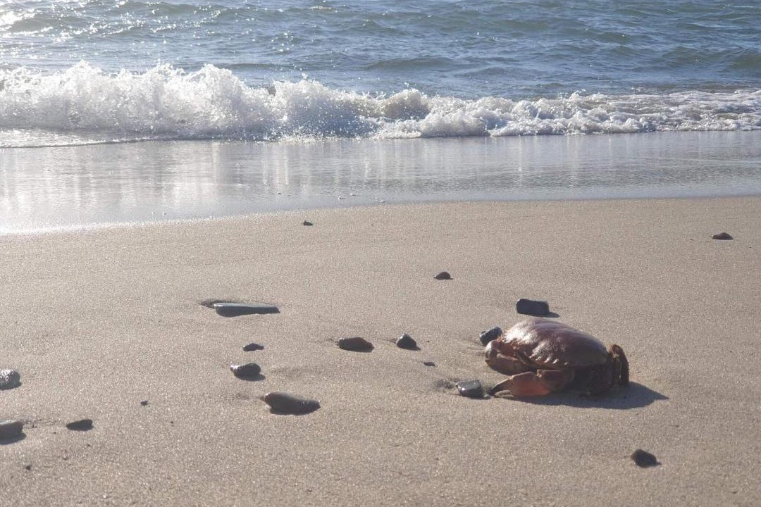 Photo of Others in Sondervig