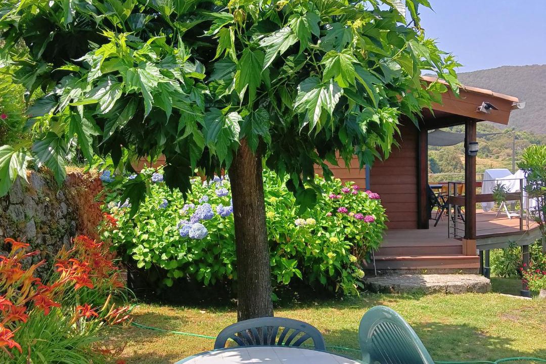 Photo of Others in Zicavo