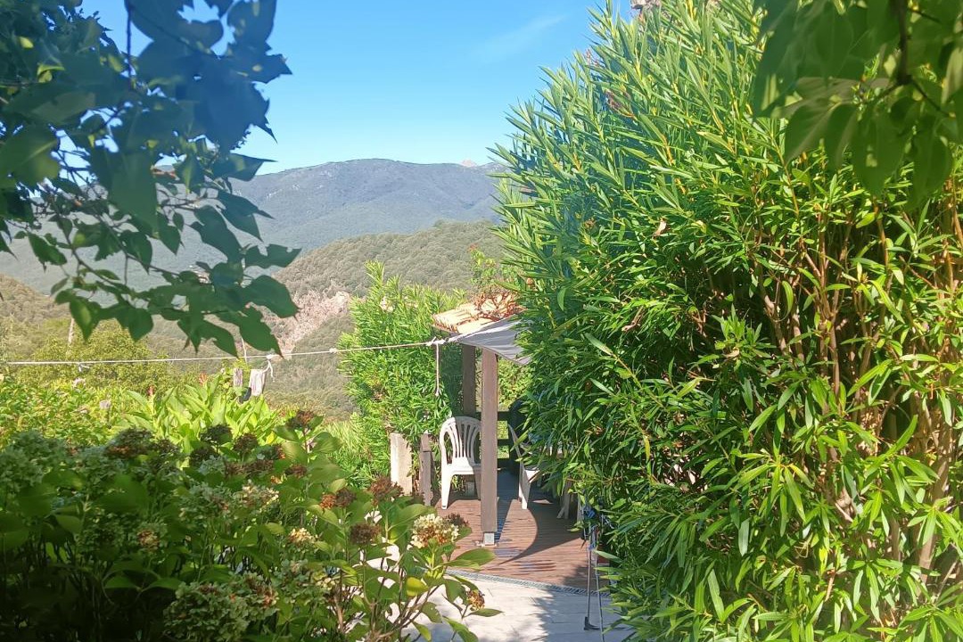 Photo of Others in Zicavo