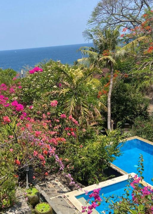 Photo of Others in Amed