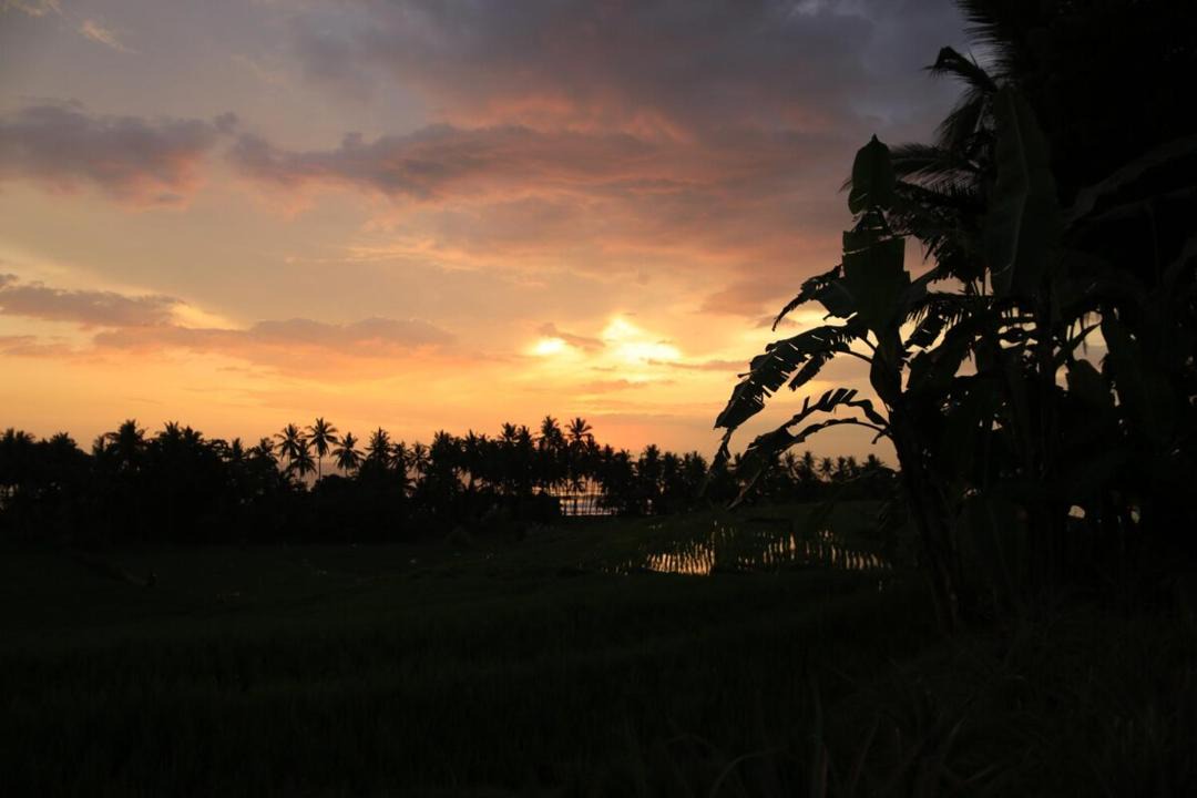 Photo of Others in West Selemadeg