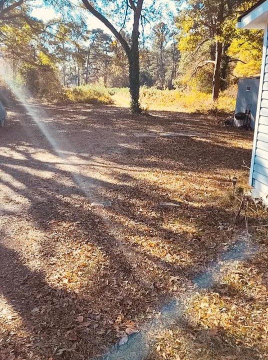 Photo of Others in Candler-McAfee
