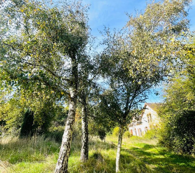 Photo of Others in Courcival