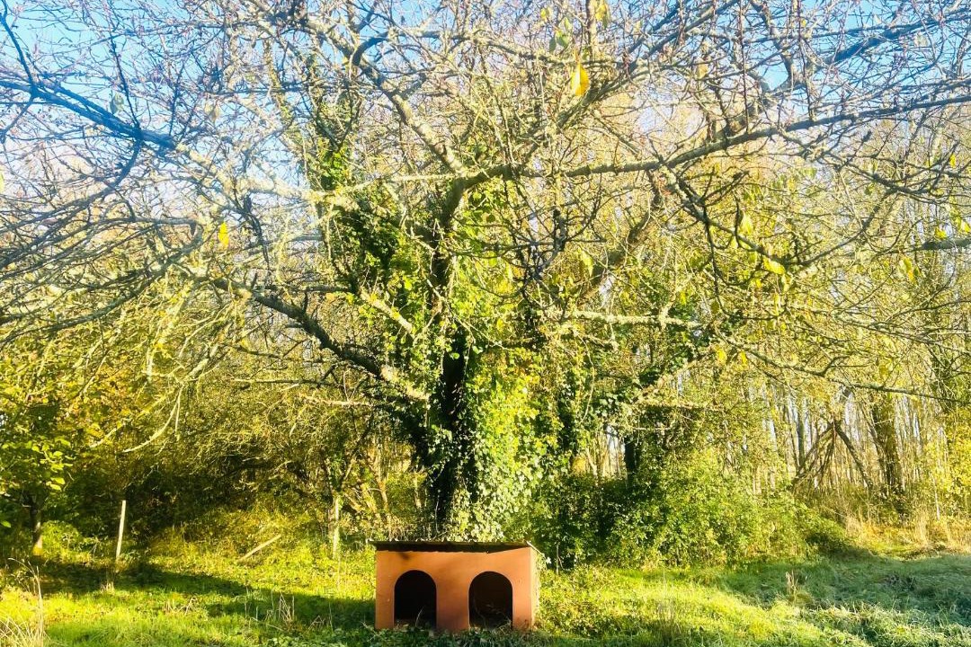 Photo of Others in Courcival