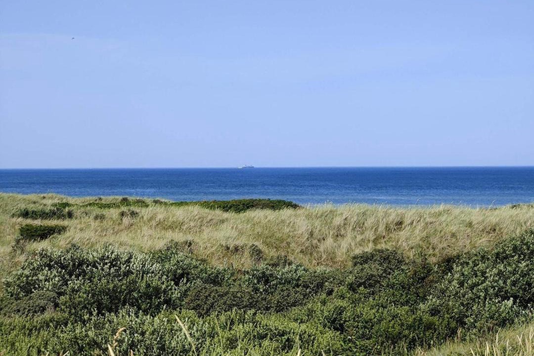 Photo of Others in Hirtshals