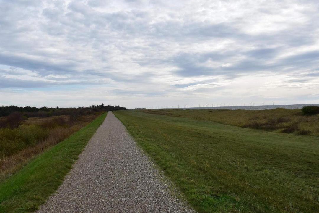 Photo of Others in Rodby