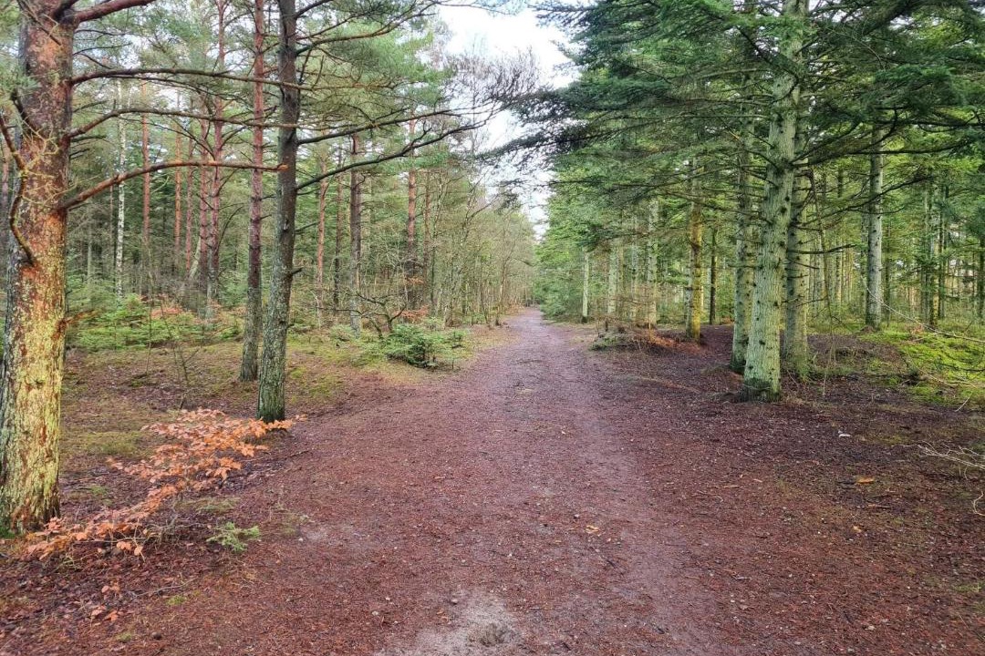 Photo of Others in Aalbaek