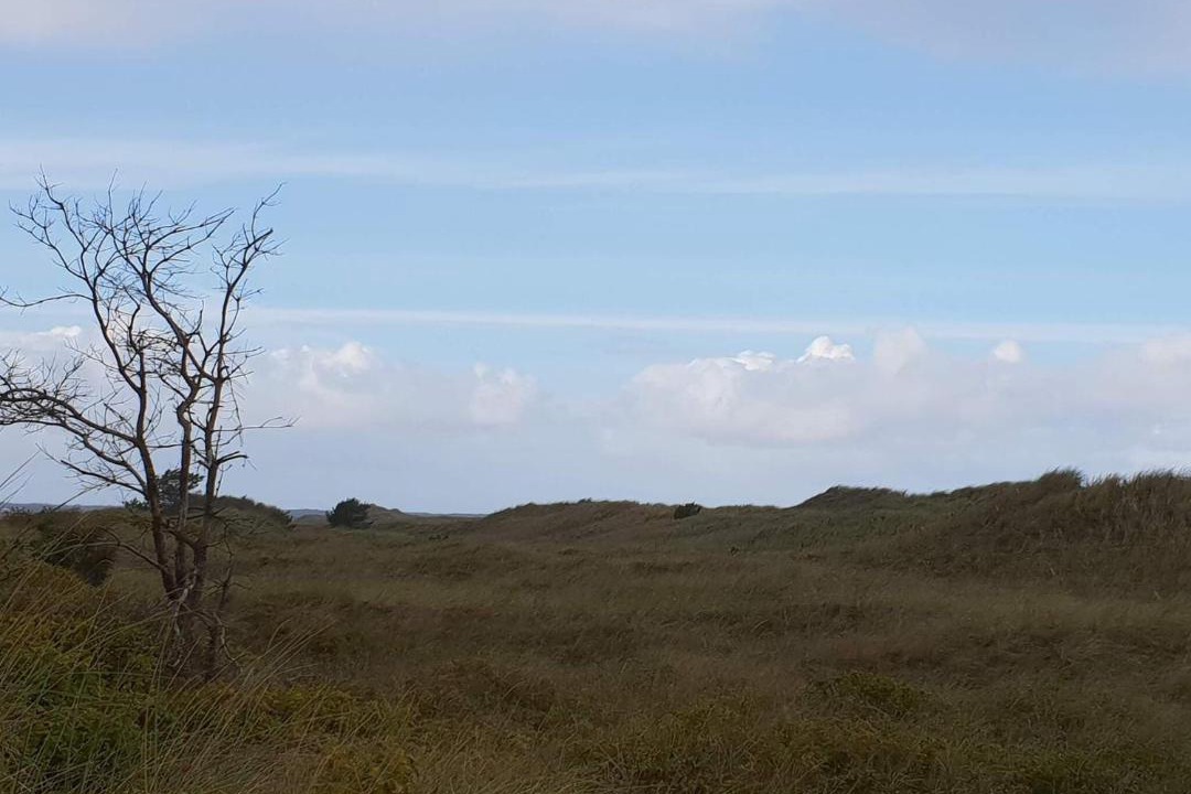 Photo of Others in Bratten Strand