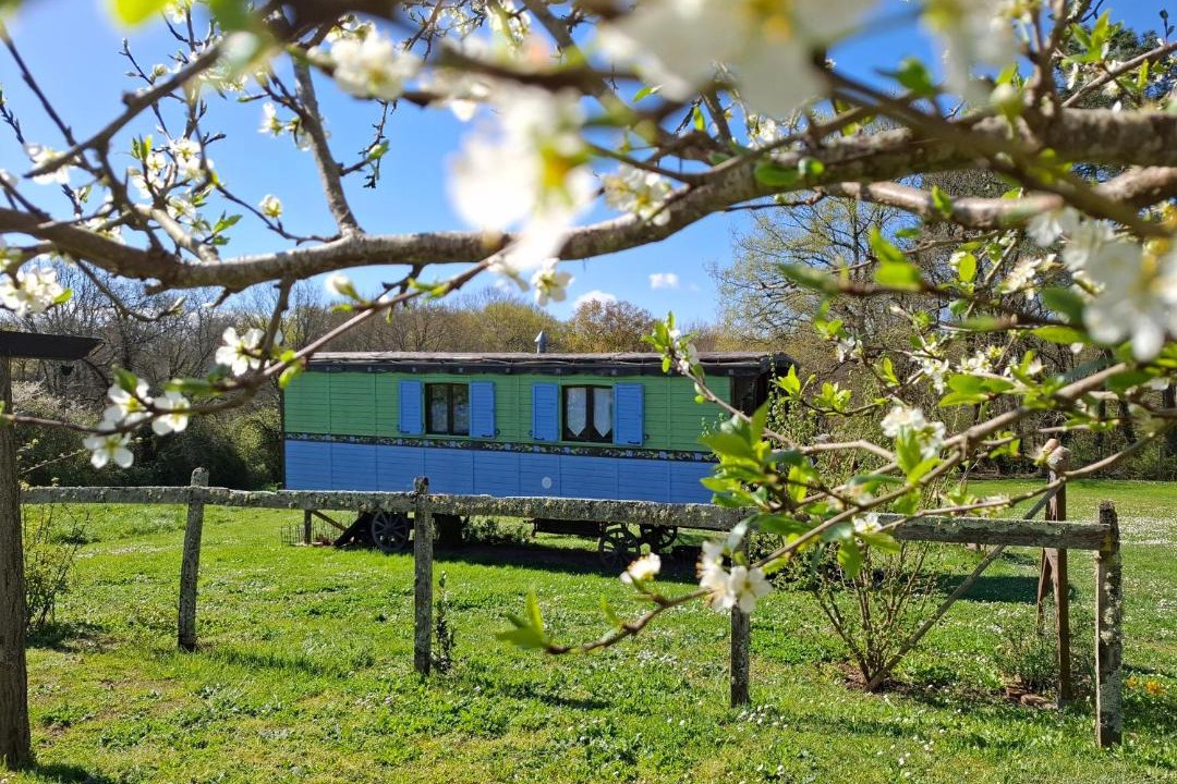 Photo of Others in Sigalens