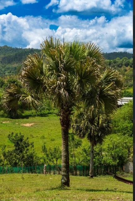 Photo of Others in Bonao