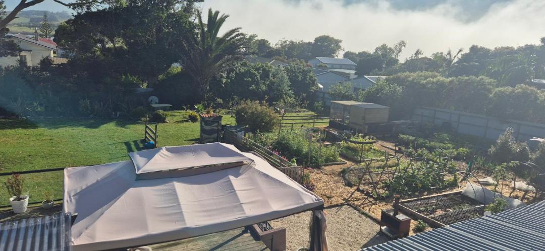 Photo of Others in Te Kopuru