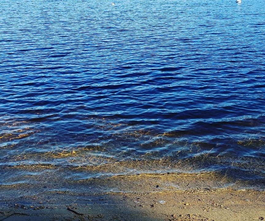 Photo of Others in Chocorua Ski and Beach