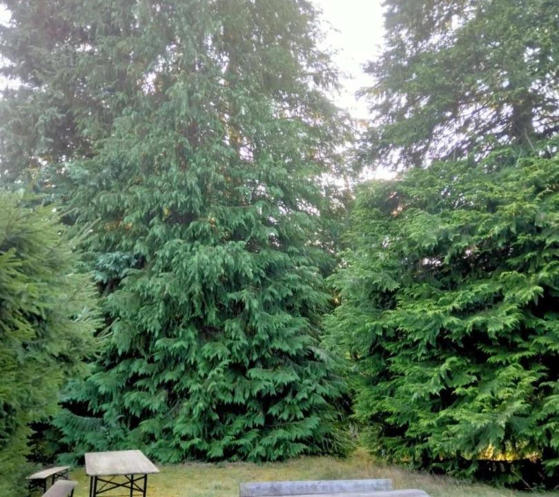 Photo of Outdoor in Saint-Remy-Sur-Durolle