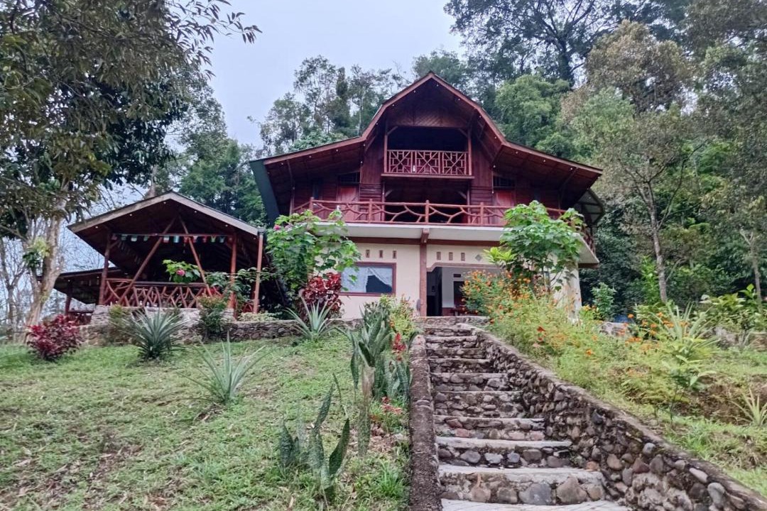 Photo of Others in Bohorok