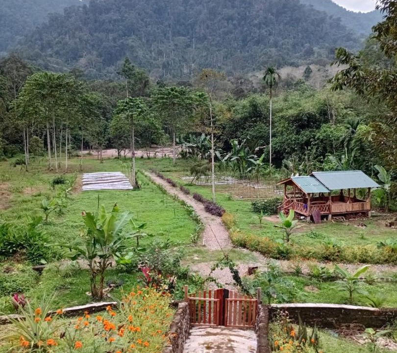 Photo of Others in Bohorok
