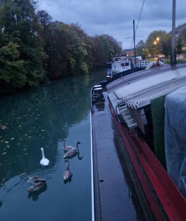 Photo of Others in Chalons-en-Champagne