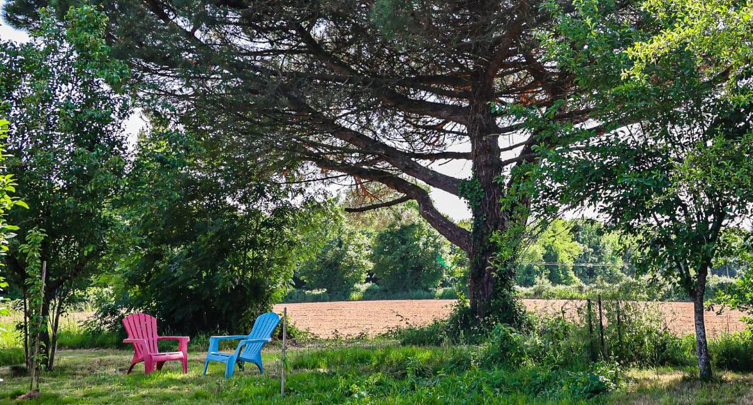 Photo of Others in La Foret-sur-Sevre