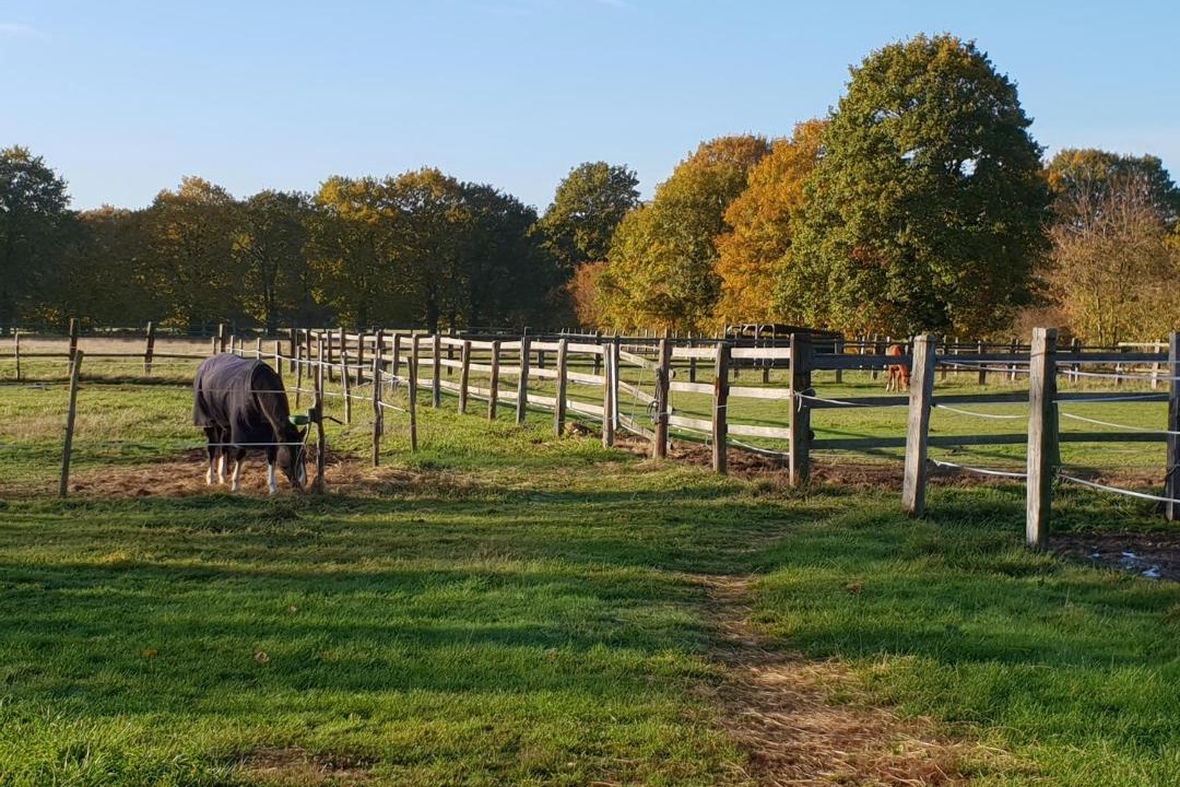Photo of Others in Chateauneuf-sur-Sarthe