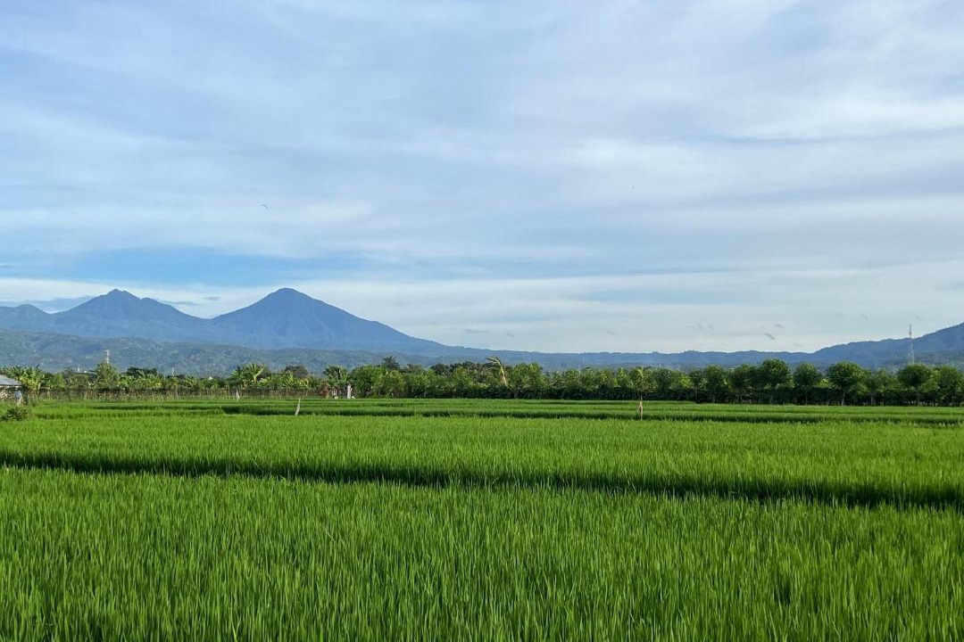 Photo of Others in Lokapaksa