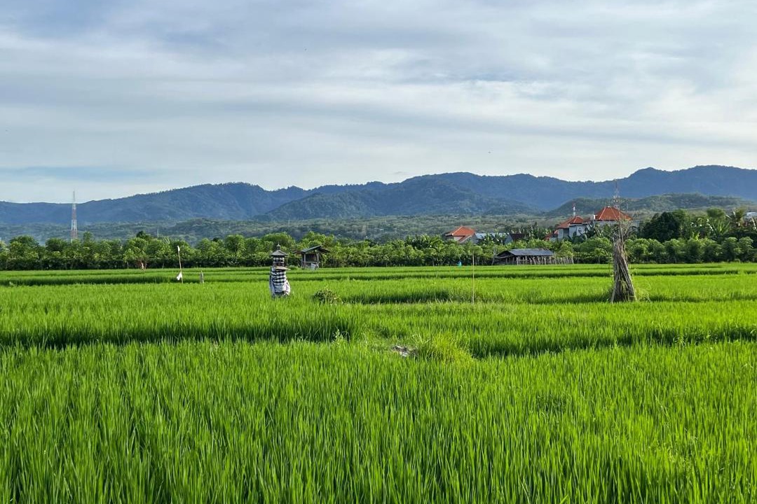 Photo of Others in Lokapaksa