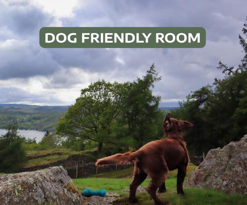 Photo of Others in Bowness-on-Windermere