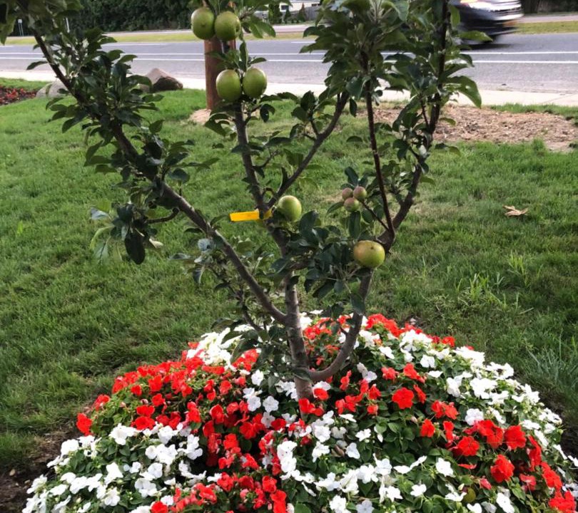 Photo of Outdoor in Shirley