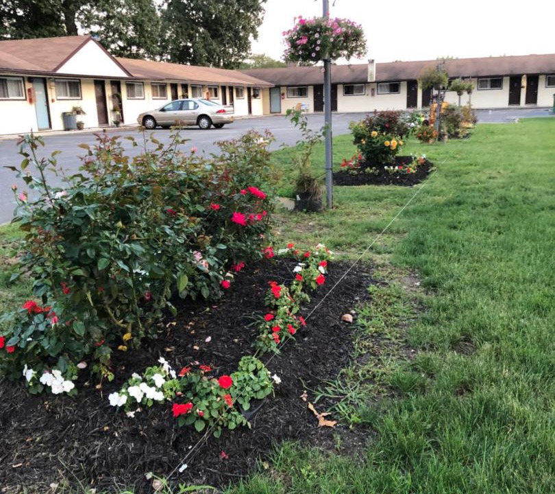 Photo of Others in Shirley