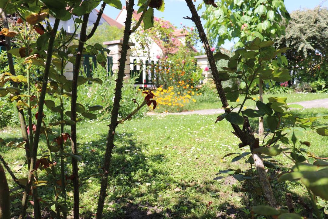 Photo of Others in Eaubonne