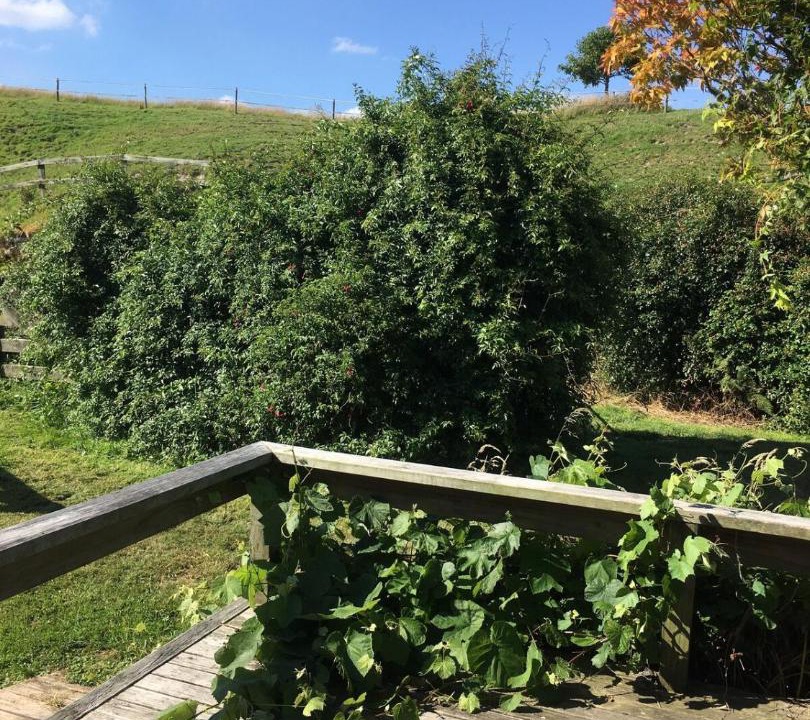 Photo of Outdoor in Kaingaroa