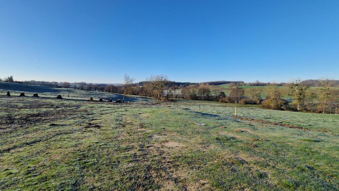 Photo of Others in Saint-Saire